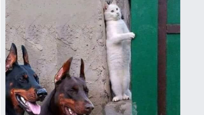 Screenshot (153).png